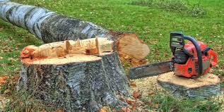 Best Commercial Tree Services  in Martins Additions, MD