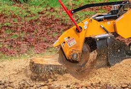 Best Tree Mulching  in Martins Additions, MD