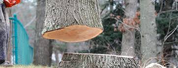  Martins Additions, MD Tree Removal Pros