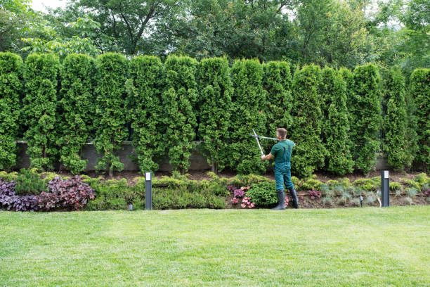 Best Tree Trimming and Pruning  in Martins Additions, MD