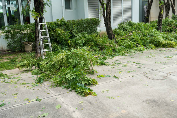 Reliable Martins Additions, MD Tree Removal Solutions