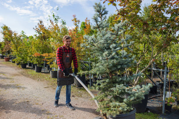 Best Tree Preservation Services  in Martins Additions, MD