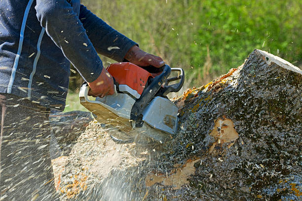 Best Lawn Maintenance Plans  in Martins Additions, MD